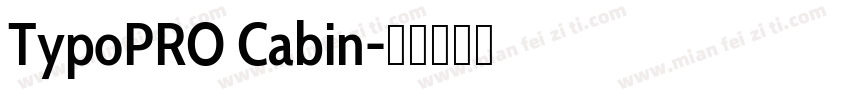 TypoPRO Cabin字体转换